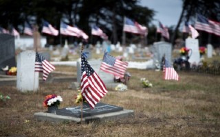 american-flags-honoring-war-dead-memorial-day